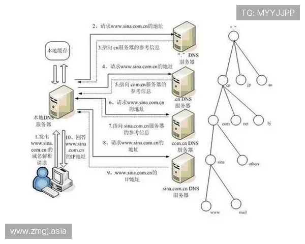 亚洲在线永久域名自动转跳服务全面解析与实用指南 亚洲在线永久域名自动转跳服务全面解析与实用指南