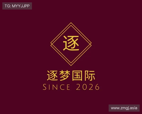 洞悉逐梦国际
